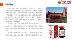 恒诺世佳是一家什么样的公司